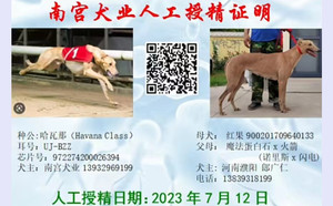哈瓦那X红果 DBHJ4，900201709640133.jpg