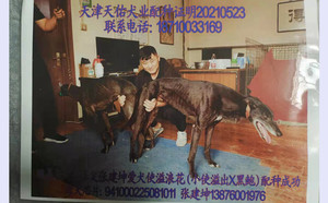 路易X使溢浪花941000225081011.jpg