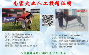 法汉X安国张彦峰的赤兔900219000991151（2025年9月14日配）.jpg