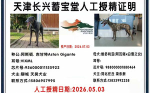 阿斯顿吉甘特X维多利亚 988000001880464.jpg