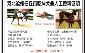 古加纳喷气机X小女孩 900215004179582，H2006.jpg