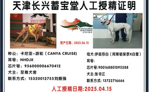 卡尼亚游轮X伊丽莎白 900168801095288.jpg