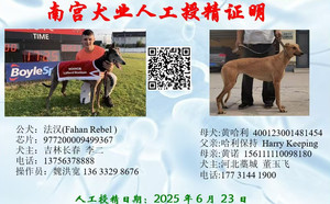 法汉X黄哈利 400123001481454.jpg