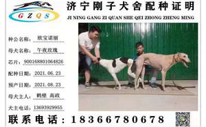 欧宝诺丽X午夜玫瑰 900168801064826，WYLX79A.jpg