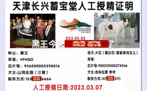 黑王X大花 DBKP2，900250000274566.jpg