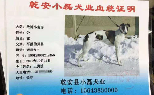 战神小南多 900128001212456