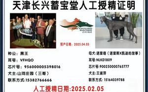 黑王X诺里奇 900250000765777，NLKD1809，156111110097063.jpg