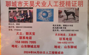 喷射X涡轮小卡佳 400123001481466.jpg