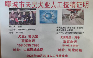 喷射X费尔南多·冰墩墩 900219001283857.jpg