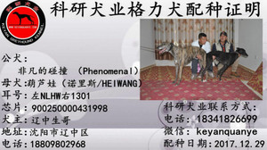 非凡的碰撞X葫芦娃 900250000431998，NLHW1301.jpg