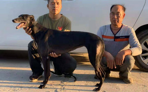 阿曼达 Amanda Bynes，36F 68264.jpg