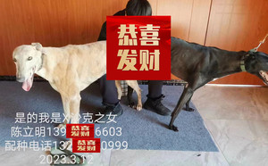 是的我是X小沙克 900168801066252，ZBSK1710，妞妞.jpg