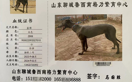 犬圖 foxrepublic_postcard-dog-chi-28