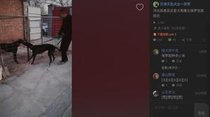 阿斯顿保罗X黑鹰 CY283，900250000479992，麻雀.jpg