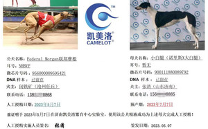 联邦摩根X小白腿 900111880089792.jpg