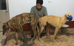 巴特X海浪公主 156111110029513.jpg