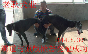 霸道X愤怒 Awesome Rage，900111880089741.jpg