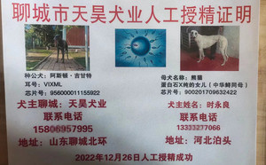 阿斯顿·吉甘特X熊猫 DBNC1,900201709632422.jpg