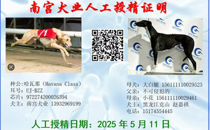 哈瓦那X大白腿 156111110029523.jpg