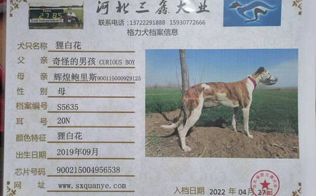狸白花 900215004956538