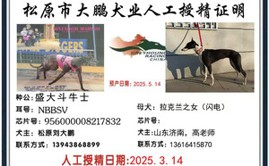 斗牛士X拉克兰闪电988000001880401.jpg