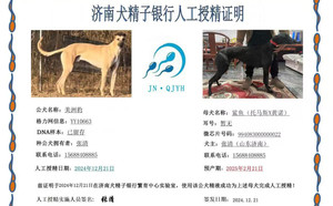 美洲豹X鲨鱼994083000000022.jpg