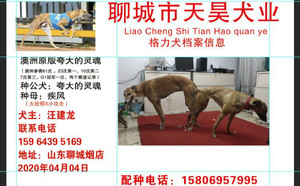 夸大的灵魂X疾风 NGQX 714A，156111110086642.jpg