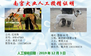 尼克斯X图像66号 NGXH 616MB，156111110088957.jpg