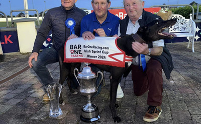 布兰德 Broadstrand Syd，977200010165798，MJXYD，宽海滩