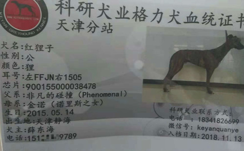 红狸子 90015000038478，FFJN1505