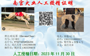 哈瓦那X图像62号 NGXH 616M，156111110088327.jpg