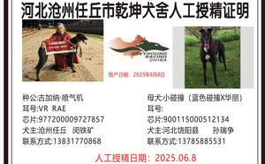 古加纳喷气机X小碰撞 900115000512134，S106596P.jpg