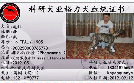 虎妞 900250000765773，FFAL1905