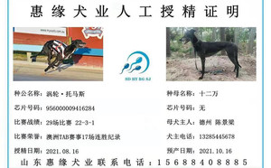 涡轮·托马斯X十二万 941000225081212.jpg
