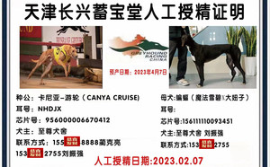 卡尼亚游轮X蝙蝠 156111110093451.jpg
