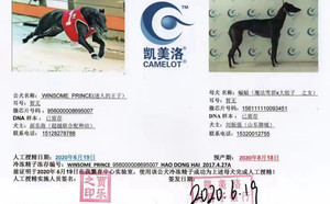 迷人的王子X蝙蝠 156111110093451.jpg