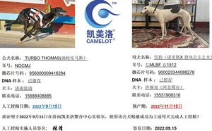 涡轮托马斯X雪豹 900023344088278，NLBF1512，156111110029370.jpg