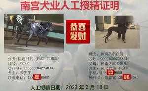 快速时代X神奇小白腿 900215002088616.jpg