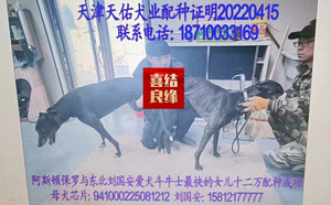 阿斯顿保罗X十二万 941000225081212.jpg