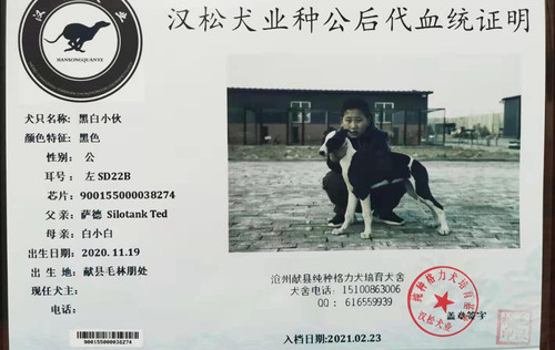 黑白小伙 900155000038274，SD22B