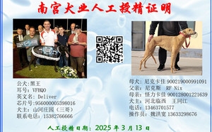 黑王X尼克卡佳 900219000991091，NGXH123AB3.jpg