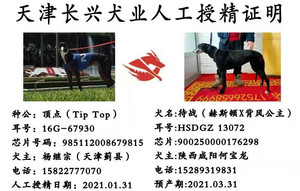 顶点X待战 HSDGZ 1307Z，900250000176298.jpg