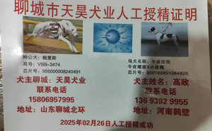 鲍里斯X午夜玫瑰 900168801064826，WYLX79A.jpg