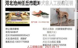 联邦摩根X小海浪 BLHS2，515000187032406.jpg