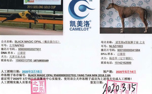 魔法蛋白石X乐乐 900100000041984，NLSZ1603.jpg