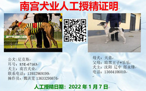 尼克斯X天意 YY4924.jpg