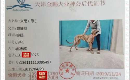 米尼 156111110095497，J94C