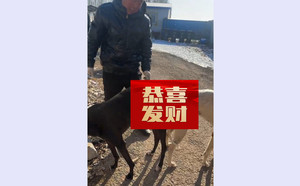 托尼X白雪公主 941000225080683，BLNZ1.jpg