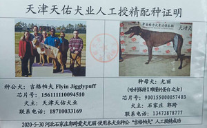 吉格帕夫X尤丽 900155000057403，H1708.jpg