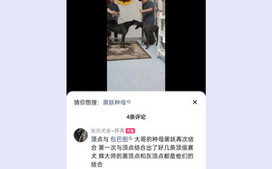 定点X黑妖 J66C，156111110091813.jpg